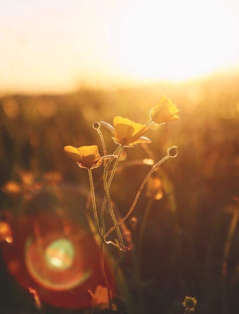 Chaplaincy Assistant St Augustine College St Augustine College Chaplaincy Assistant St Augustine College St Augustine College